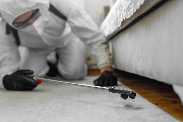 Professional Termite Control technician working in Garden View, PA