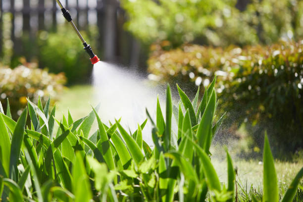 24/7 Emergency Termite Control experts in Garden View, PA