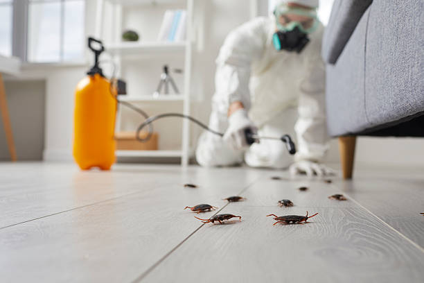 Affordable Termite Control solutions in Garden View, PA